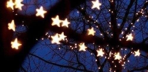 maybe my love for the stars was just for aesthetics. maybe my love for the stars was just for aesthetics.