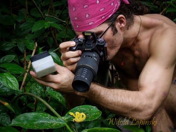 A man with a red bandana photographs a golden-yellow little snake from very close.