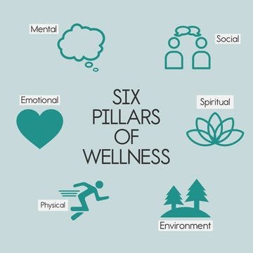 Wellness is defined as “The quality or state of being healthy in body