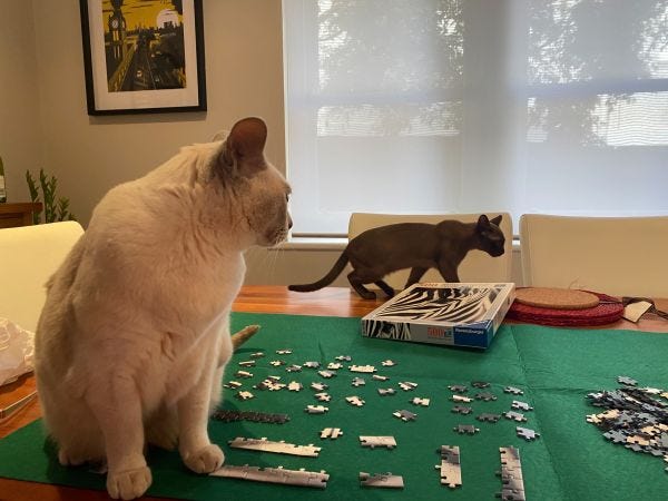 cats sitting on a jigsaw puzzle