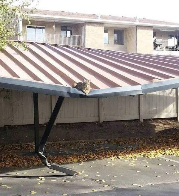 A picture of a cat sitting on a roof with a large dent in it; it looks at first glance like the cat might have caused the roof to cave in, but rational thinking will help us realize that’s silly.