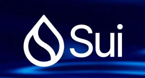 Sui Went Down Three Times in 48 Hours  — Here’s Why