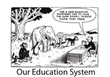 Education System