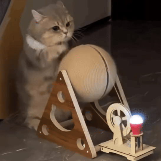 The Symbolic-Physical Intelligence Asymmetry: What That Means for AGI