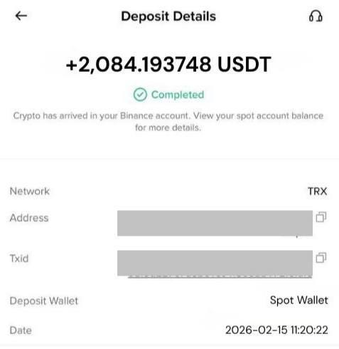 How I Ended Up Trying SettlePal With the $500 Voucher