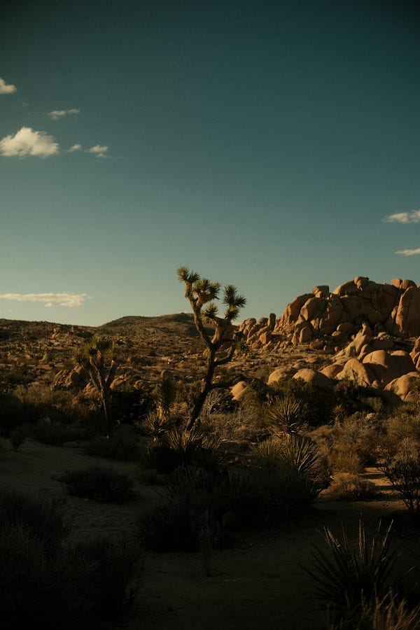Create Attention-Grabbing Videos Without Breaking a Sweat