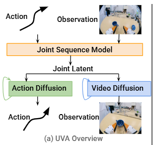 Unified Video Action (UVA) Model
