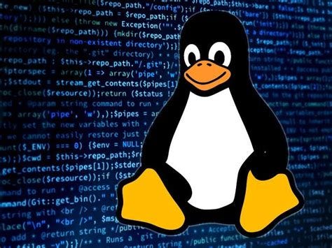 Writing Your First Bash Script
