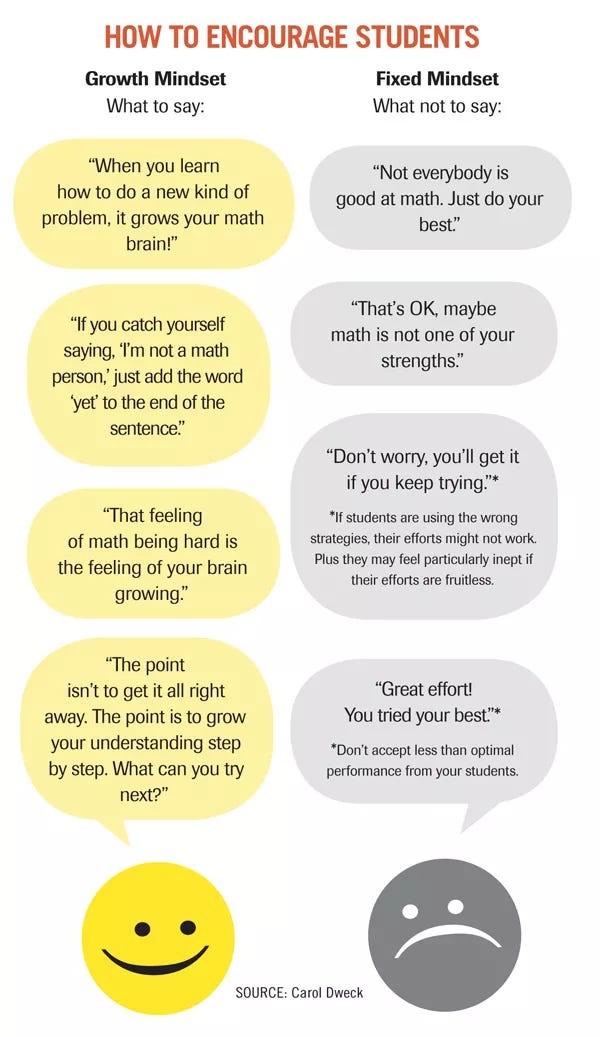 Poster depicting growth and fixed mindset phrases (to use and not use) with students.