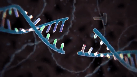Resultado de imagen para CRISPR CAS9 GIF