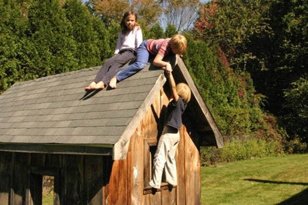 Children playing and climbing a toy shed