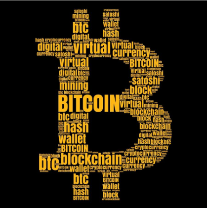 FLASH BITCOIN AND SOFTWARE EXPLAIN