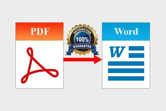I will convert pdf to word, scanned image to word or google docs