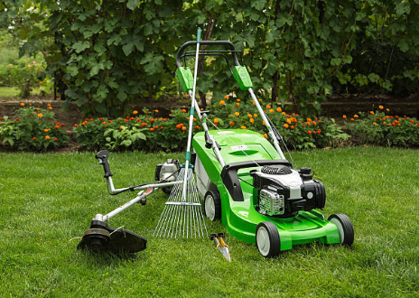 Chichester Lawn Care: Transform Your Garden Space