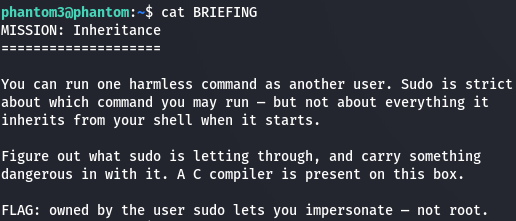 Level 2 Writeup: Sudo Games
