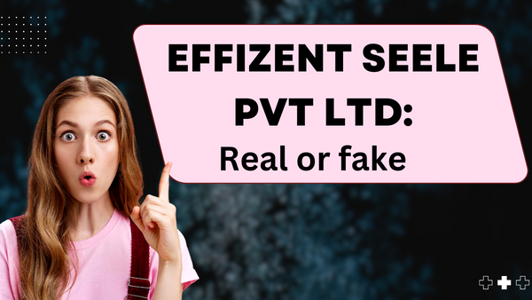 Effizent Seele Pvt Ltd Is real Or fake