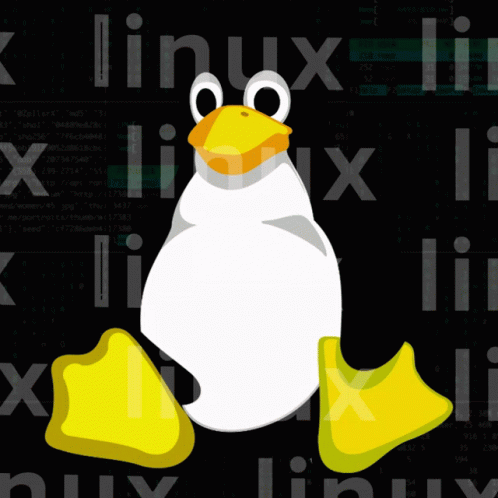 From Novice to Ninja: Unlocking Linux Permissions and Creating an efficient File Management system…