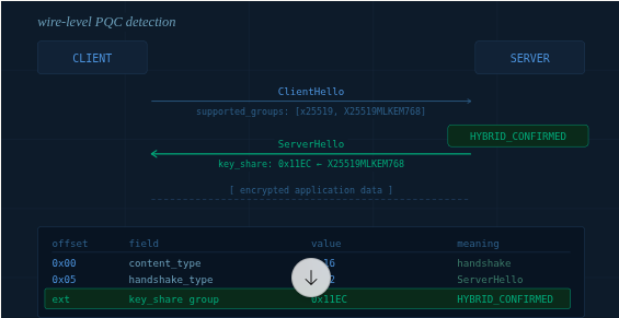Wire-Level PQC Detection: What Your TLS Handshakes Are Actually Saying