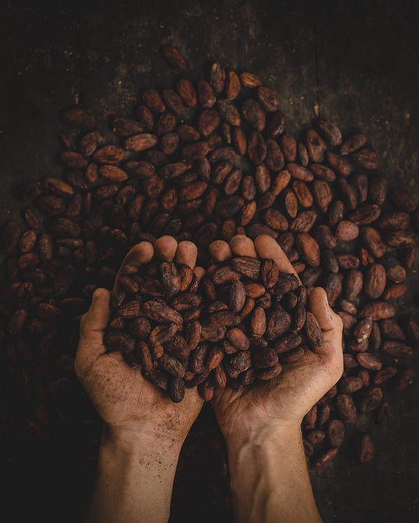 A handful of cacao beans taken from a pile of cacao beans