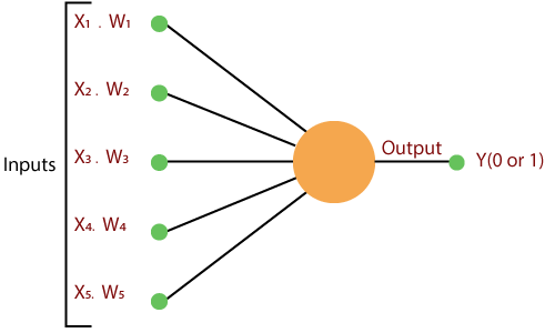 Single layer perceptron for protein sequence classification