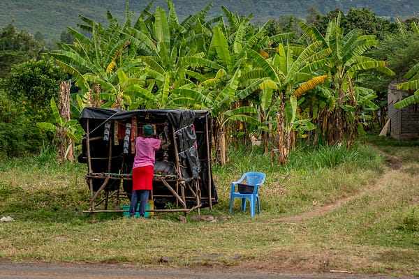 I often wondered how they can make a living selling 4 items by the side of the road. But I guess they can. They were still there the next day.