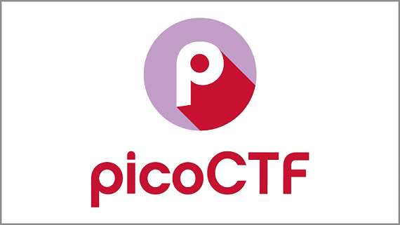 Cracking Hidden Password Logic -PicoCTF “PW Crack 2”