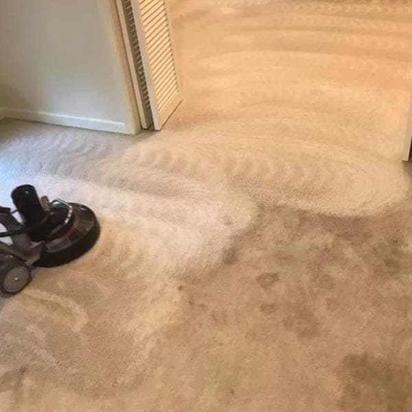 Carpet Steam Cleaning Services