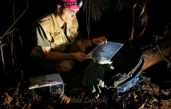 A man with a head lamp and a red bandana sits on the ground of a rainforest at night and takes data on spiders.