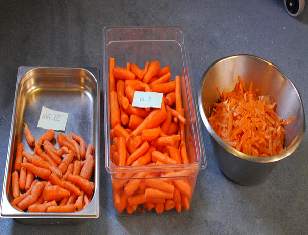 Image of how carrots are labelled and categorized according to their looks