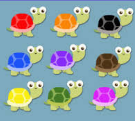 Understanding the basics of Objects using Turtle