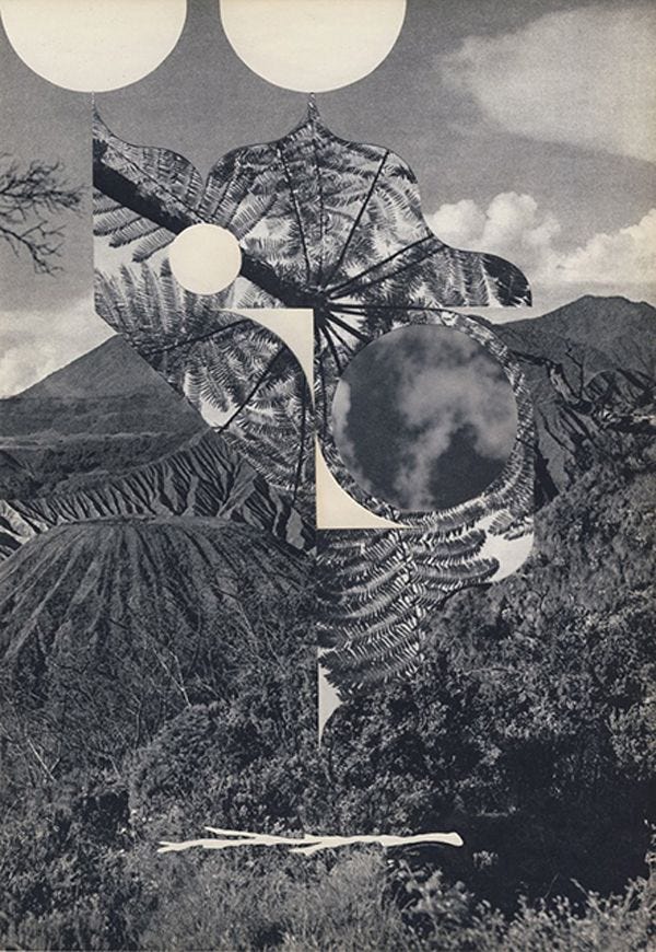 A mountain landscape photograph with geometric shapes and other plant life collaged together. Black and white.