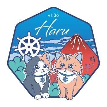 My Shadow Log: Inside a Kubernetes Release (v1.36)
