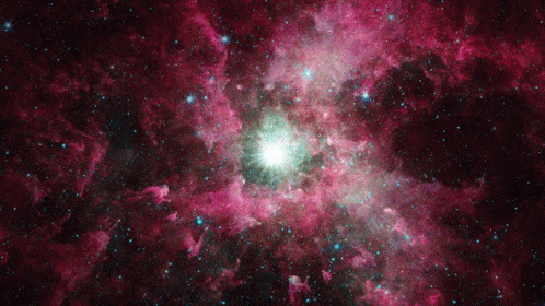 The Quiet Architects of the Cosmos?—?How Invisible Forces Shape the Un