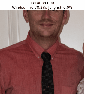 Windsor tie/jellyfish