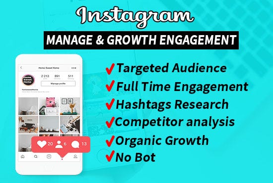 I will do Instagram marketing for organic growth