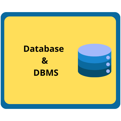 What is Database and DBMS?