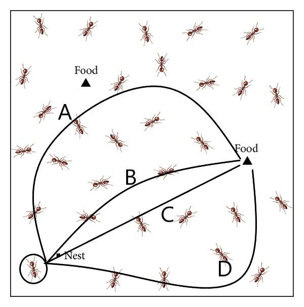 Ant Colony Optimization: An overview – Towards AI