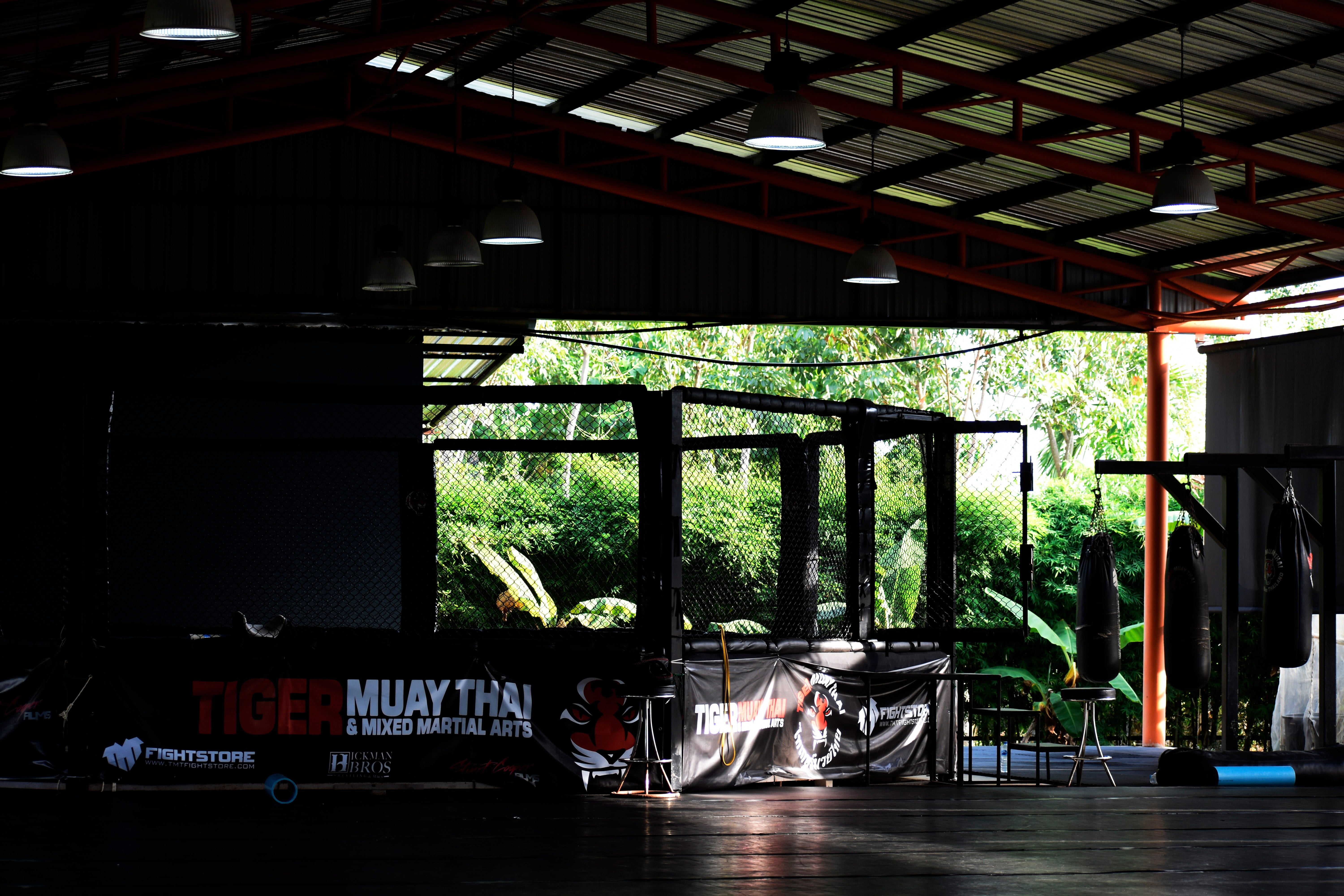 Không gian MMA. Thật thanh thản. Vào những ngày chủ nhật.