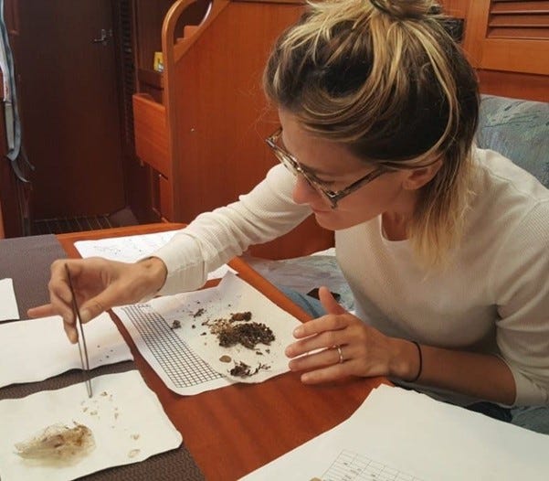 Woman with her hair in bun and glasses leans over a table, holding small pieces of plastic with a pair of tweezers over paper towels.