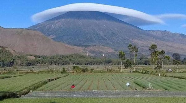 What facts are too horrible to know-