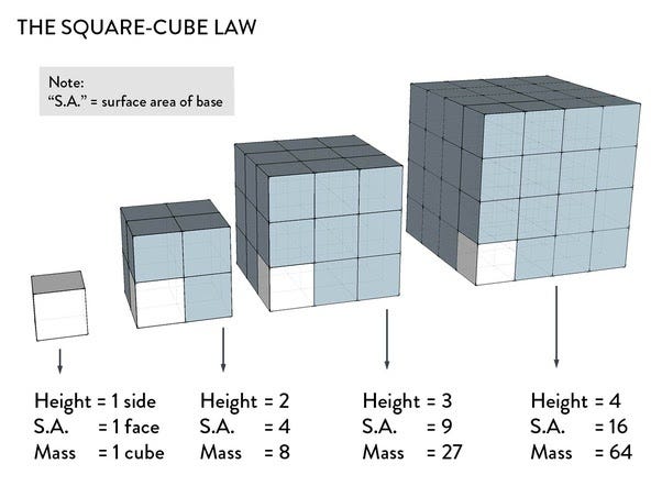 Square-Cube Law visual representation