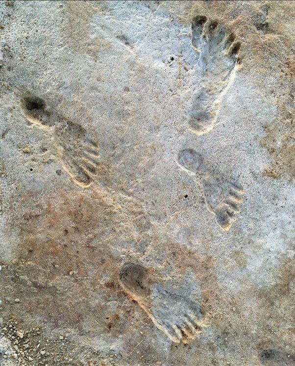 Human footprints from White Sands National Park, New Mexico. Dated 21,000-23,000 years old.