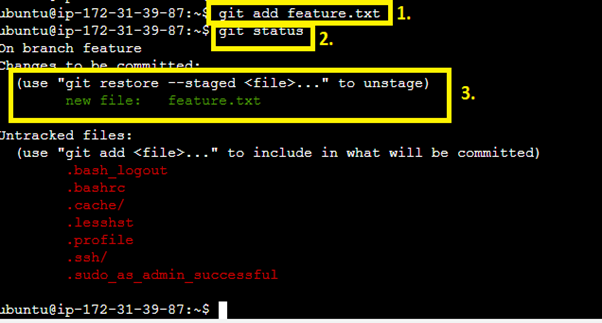 Stage the feature.txt file