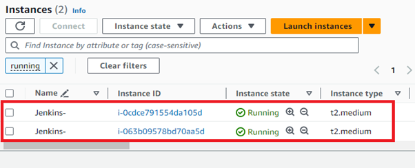 Jenkins Instances