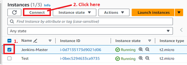 Select Jenkins Master Instance