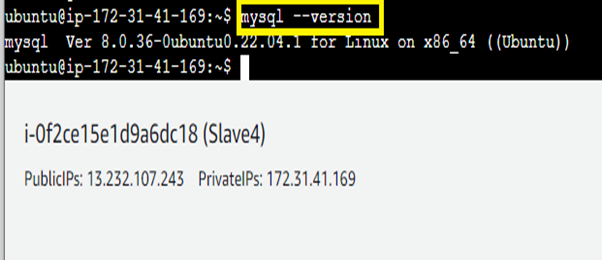 MySQL Version on “Slave4”