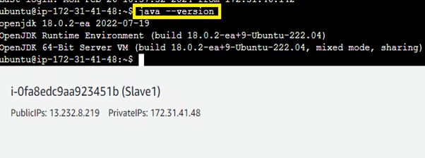 Java Version on “Slave1”
