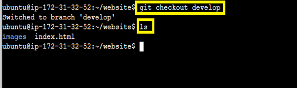 git checkout develop