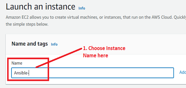 Choose the Instance Name