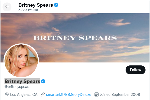 Britney Spears Twitter Handle